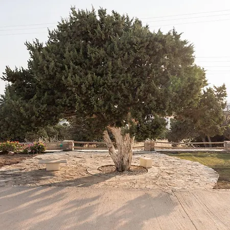 아파트 Aurea Blu 04, Enjoy Peace, Quiet, And Sea 알리코비치